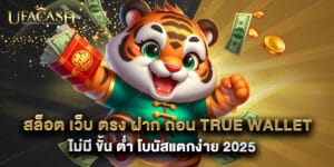 สล็อต เว็บ ตรง ฝาก ถอน true wallet ไม่มี ขั้น ต่ํา โบนัสแตกง่าย 2025