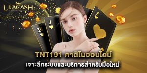 tnt191 คาสิโนออนไลน์ เจาะลึกระบบและบริการสำหรับมือใหม่