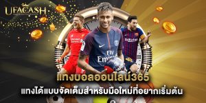 แทงบอลออนไลน์365 แทงได้แบบจัดเต็มสำหรับมือใหม่ที่อยากเริ่มต้น